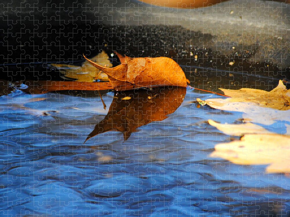 Autumn Jigsaw Puzzle featuring the photograph Autumn's Reflection by Jai Johnson