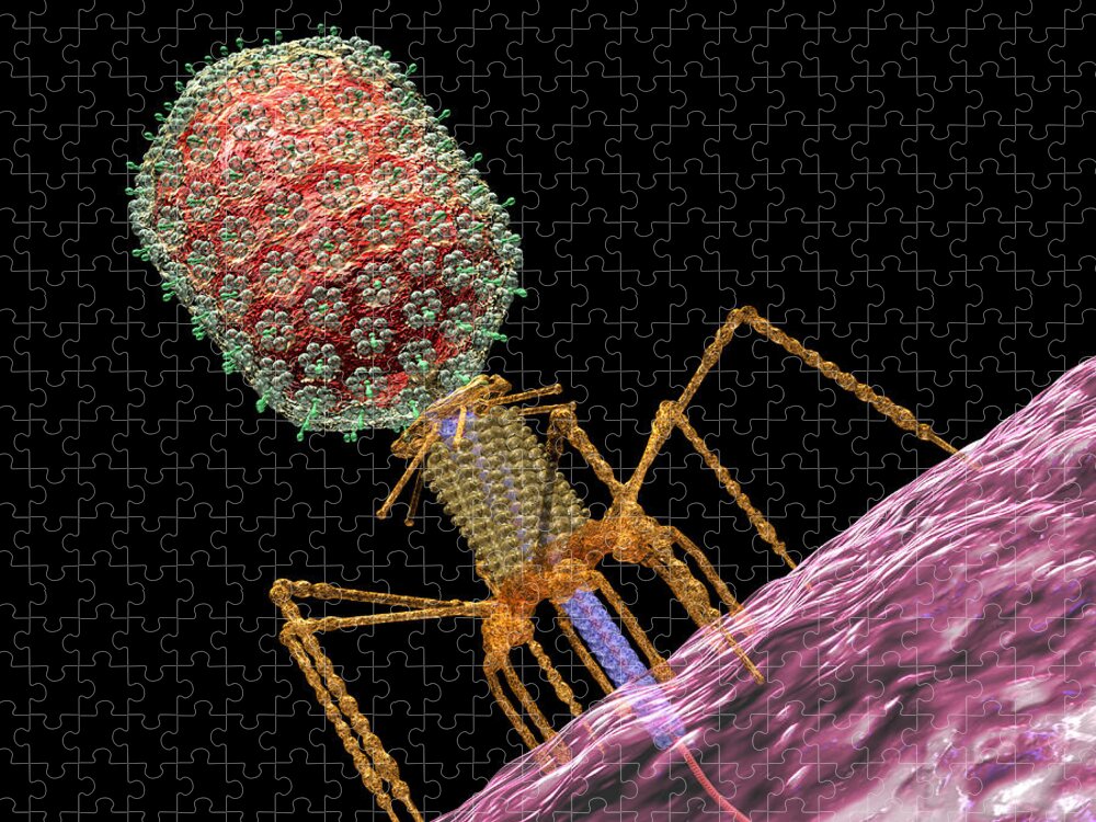 Bacteria Jigsaw Puzzle featuring the digital art Bacteriophage T4 Injecting by Russell Kightley