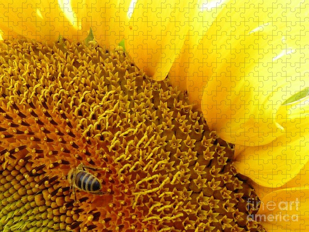 Bee Jigsaw Puzzle featuring the photograph Bee Happy by Amalia Suruceanu