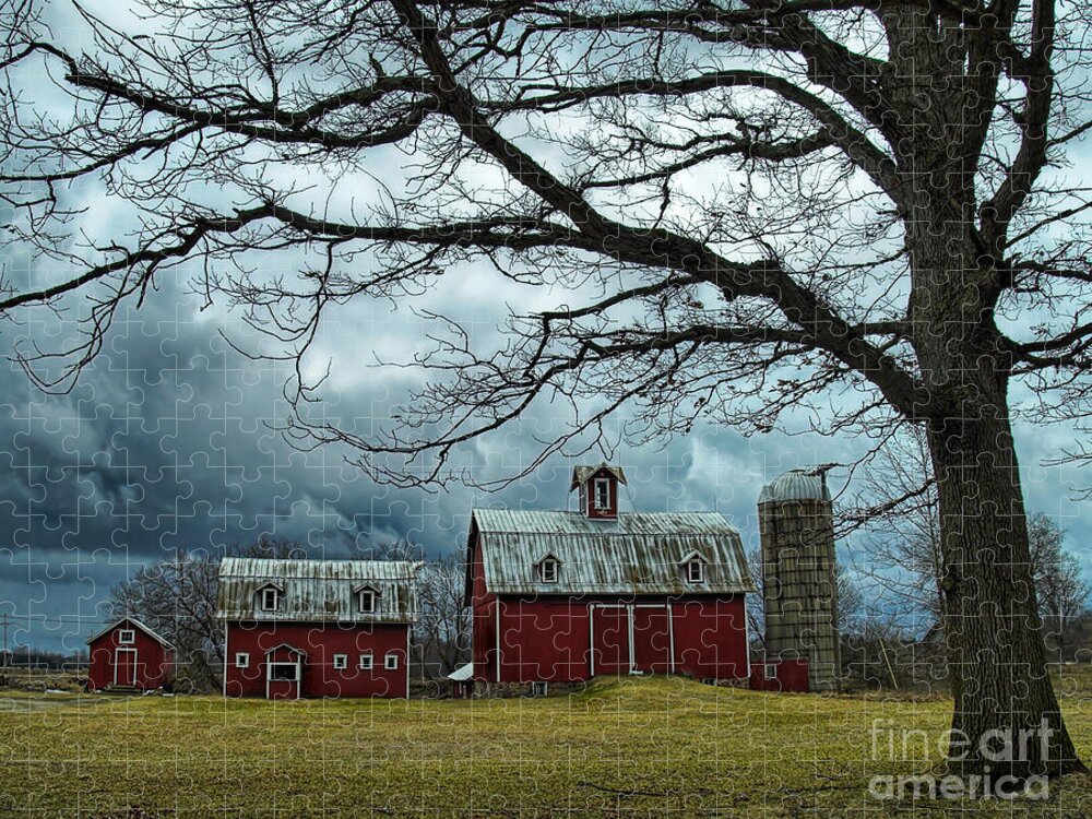 Farm Jigsaw Puzzle featuring the photograph Bell's Farm by Terry Doyle
