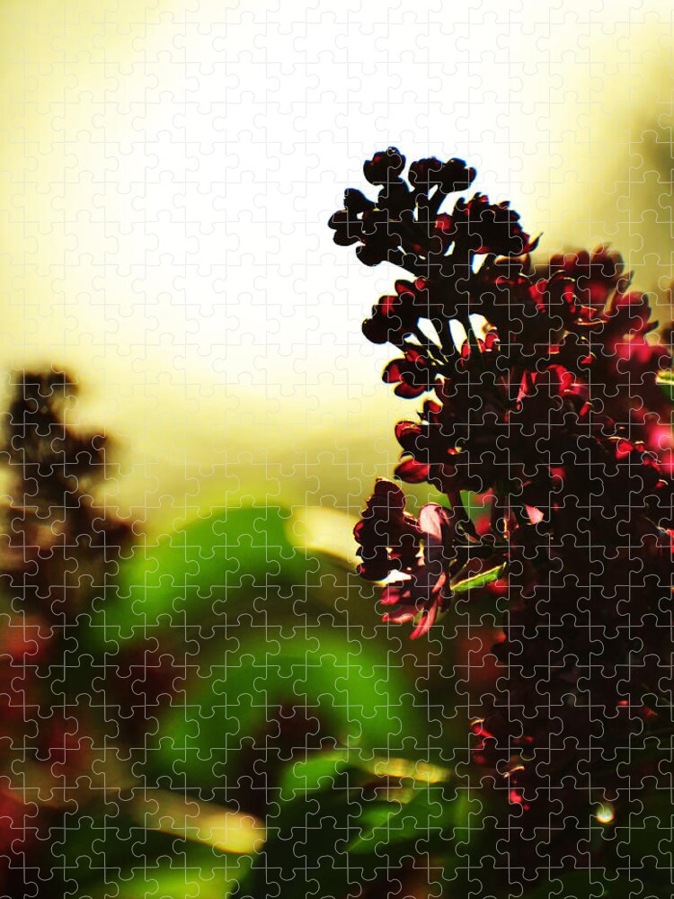 Lilac Jigsaw Puzzle featuring the photograph Between Me and the Sun by Rebecca Sherman