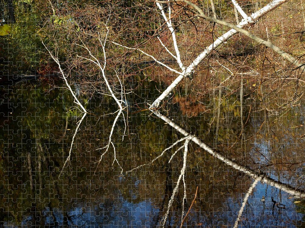 Usa Jigsaw Puzzle featuring the photograph Birch Lake Reflections by LeeAnn McLaneGoetz McLaneGoetzStudioLLCcom