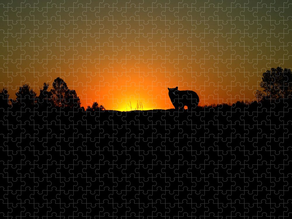Bear Jigsaw Puzzle featuring the digital art Black Bear Sunset by TnBackroadsPhotos 