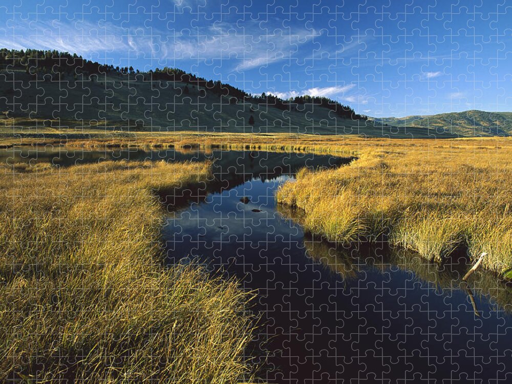 00171332 Jigsaw Puzzle featuring the photograph Blacktail Lake Yellowstone National by Tim Fitzharris
