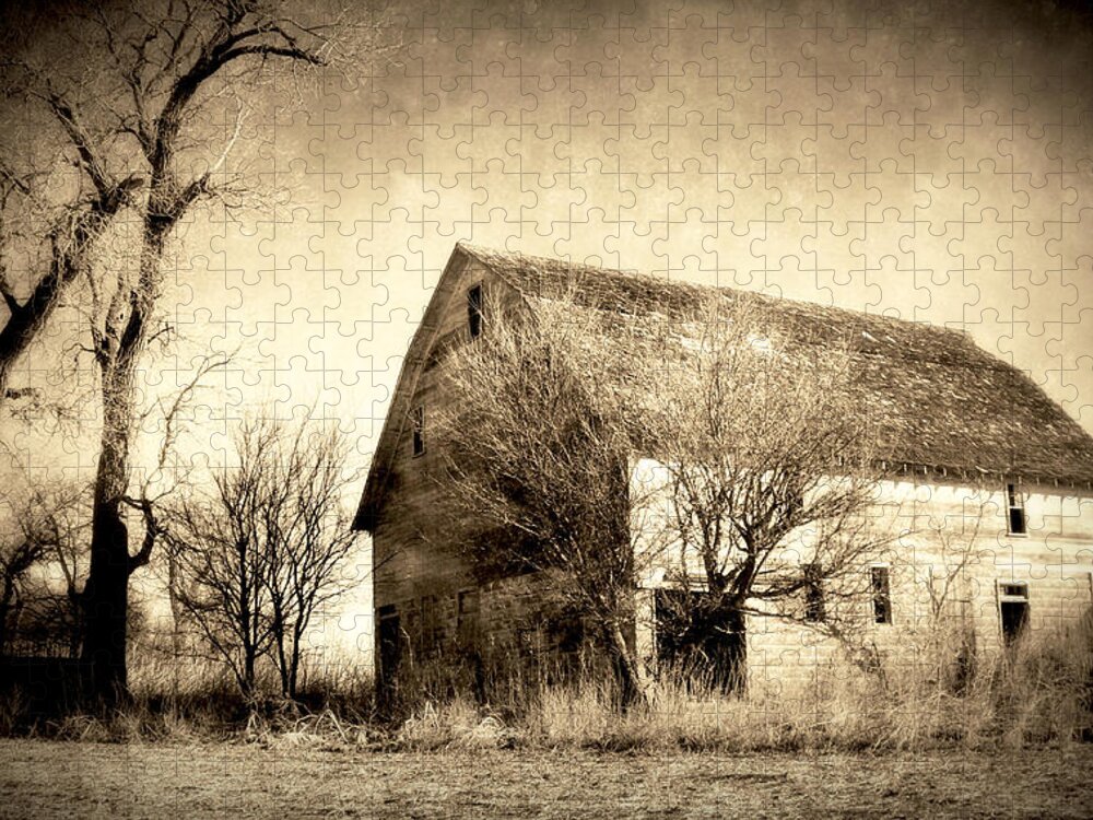 This Is A Wonderful Farm In South Dakota. An Absolutly Perfect Setting Jigsaw Puzzle featuring the photograph Block Barn by Julie Hamilton