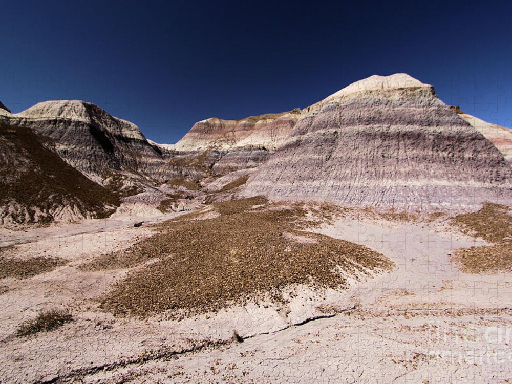 Petrified Forest National Park Jigsaw Puzzle featuring the photograph Blue Badlands by Adam Jewell