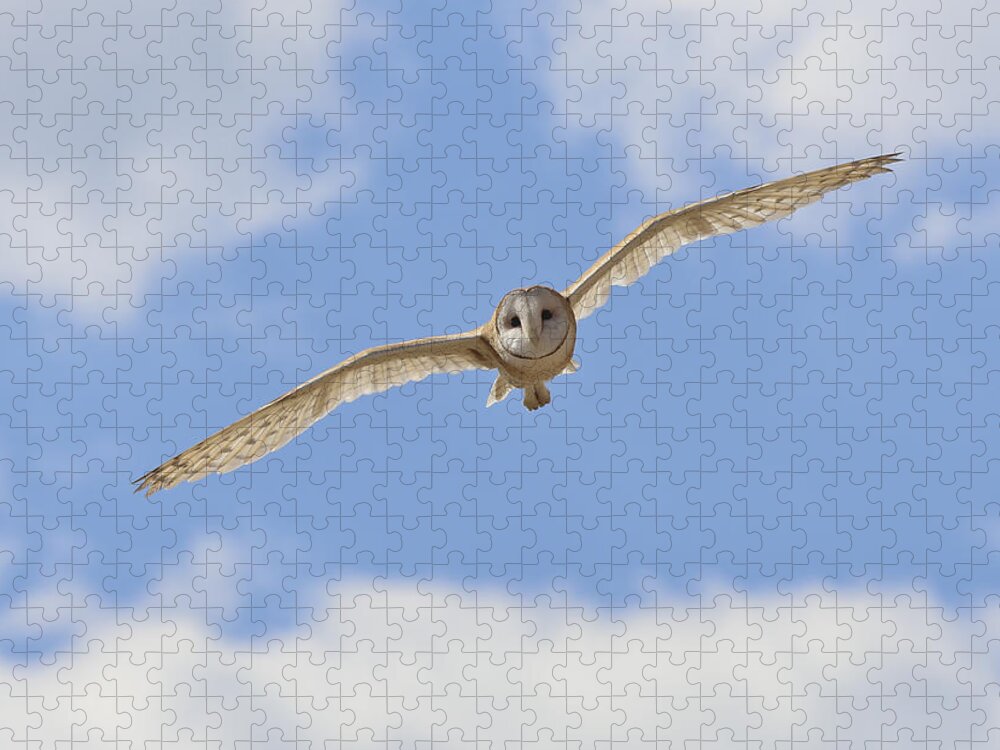 Landscape Jigsaw Puzzle featuring the photograph Blue sky barn owl by John T Humphrey
