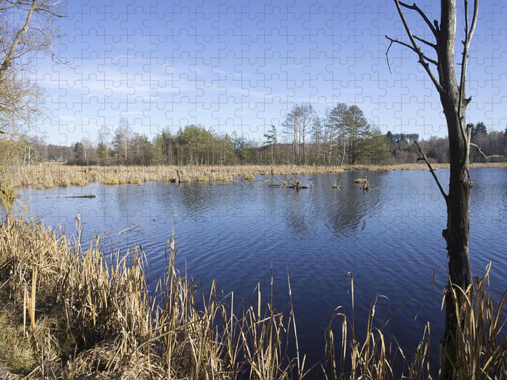 Bog Jigsaw Puzzle featuring the photograph Bog landscape Schwenninger Moos by Matthias Hauser