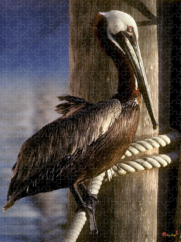 Birds Jigsaw Puzzle featuring the photograph Brown Pelican in Key West 9L by Gerry Gantt
