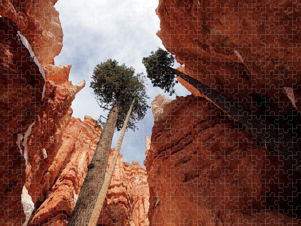 America Jigsaw Puzzle featuring the photograph Bryce Canyon Towering Hoodoos by Karen Lee Ensley