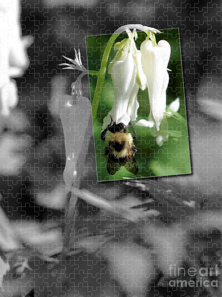 Bumble Bee Jigsaw Puzzle featuring the photograph Bumble Bee Partial Color by Smilin Eyes Treasures