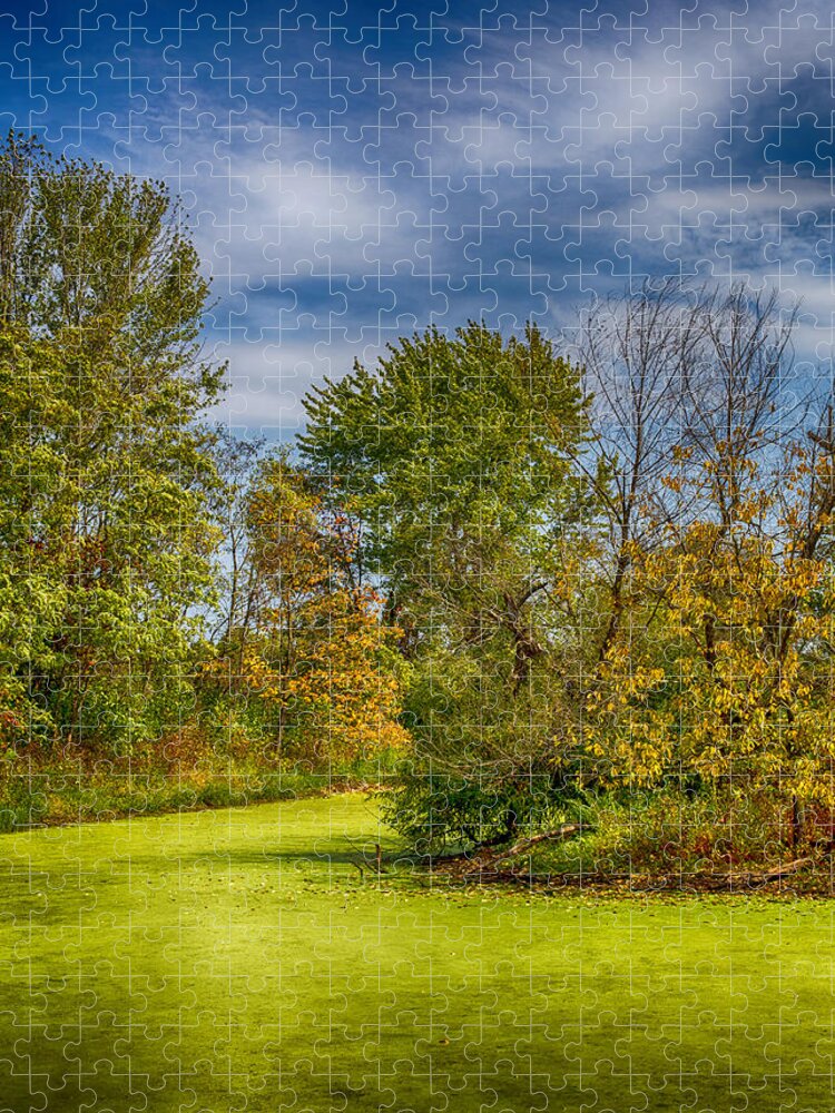 Ahden Knight Hampton Memorial Lake Jigsaw Puzzle featuring the photograph Busch Wildlife Swampy Autumn by Bill and Linda Tiepelman