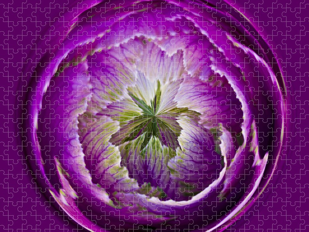 Cabbage Jigsaw Puzzle featuring the photograph Cabbage Orb by Bill Barber