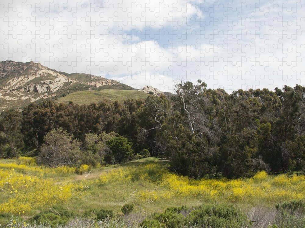 California Jigsaw Puzzle featuring the photograph California Hillside View III by Kathleen Grace