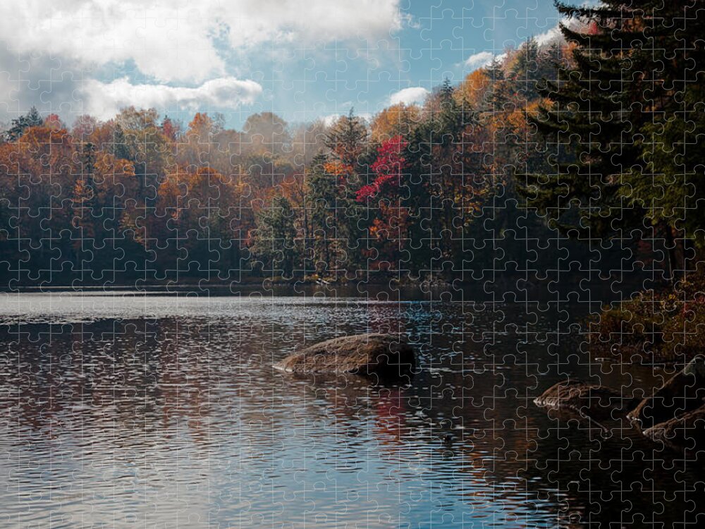 Adirondack's Jigsaw Puzzle featuring the photograph Cary Lake in the Adirondacks by David Patterson