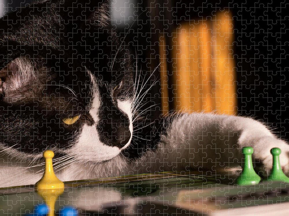 Sorry! Jigsaw Puzzle featuring the photograph Cat Playing a Game by Lori Coleman