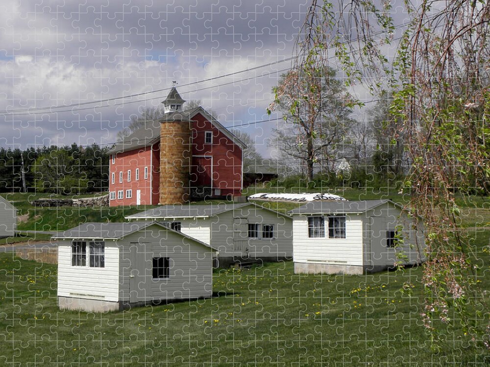 University Of Connecticut Jigsaw Puzzle featuring the photograph Chicken coops and Barn by Kim Galluzzo