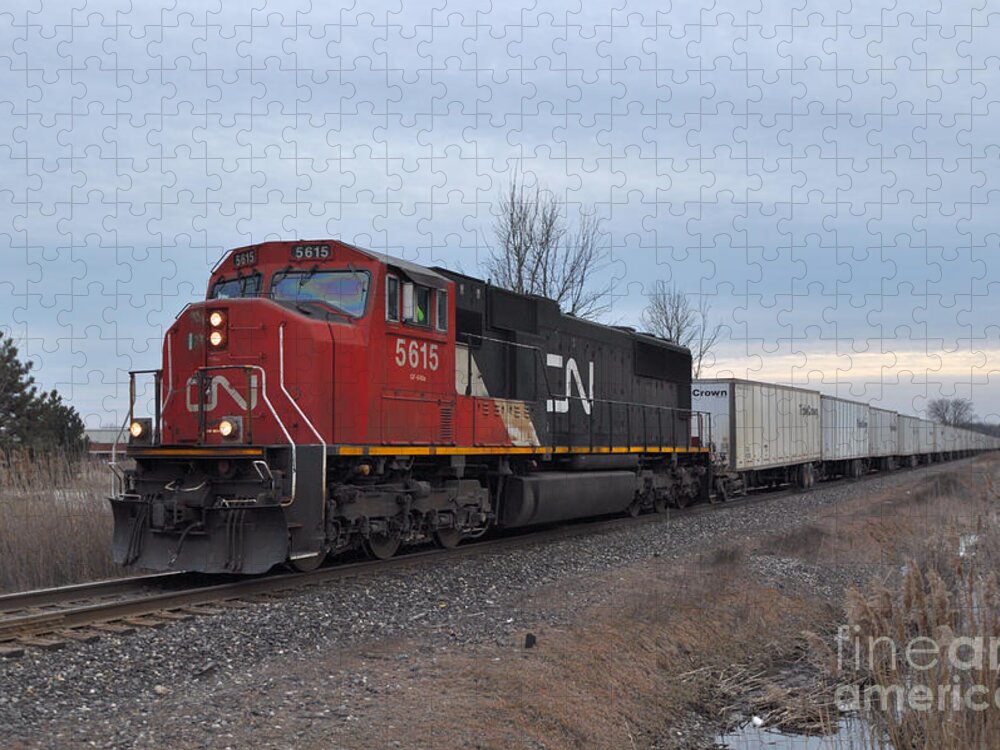 Train Jigsaw Puzzle featuring the photograph Cn5615 by Ronald Grogan