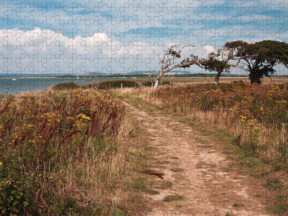 Path Jigsaw Puzzle featuring the photograph Coastal Path by Shirley Mitchell