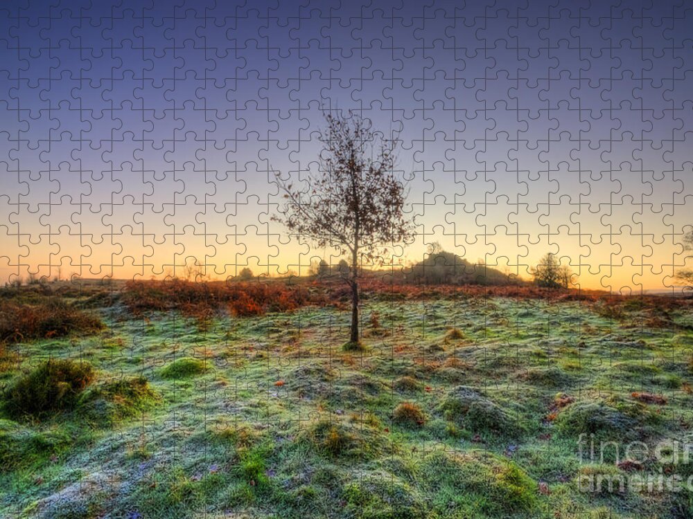 Hdr Jigsaw Puzzle featuring the photograph Colours Of Dawn by Yhun Suarez