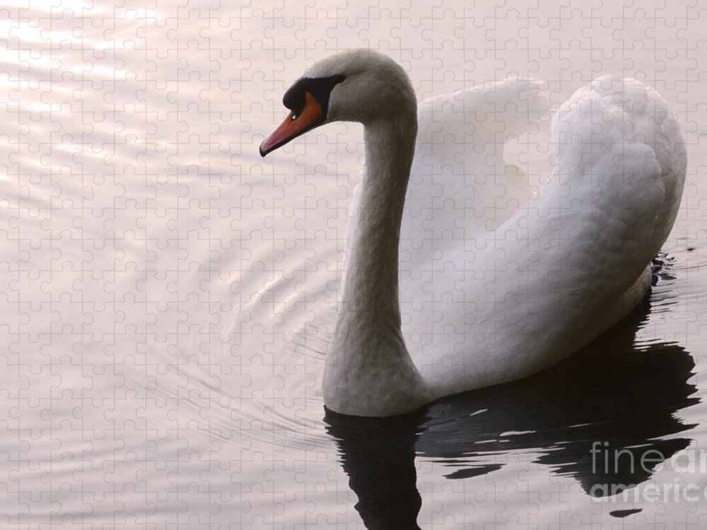 Swan Jigsaw Puzzle featuring the photograph Completely Elegant by Bob Christopher