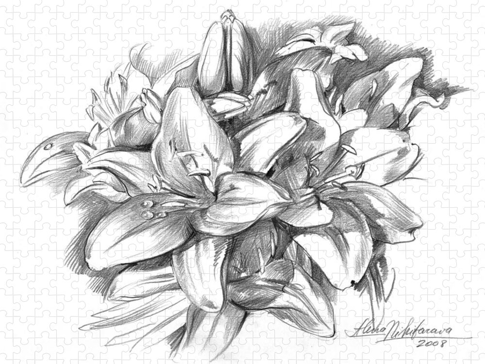 Lily Jigsaw Puzzle featuring the drawing Conte pencil sketch of Lilies by Alena Nikifarava
