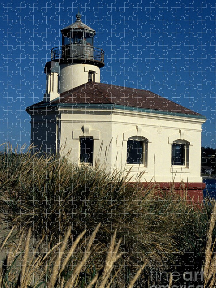 Coquille Jigsaw Puzzle featuring the photograph Coquille Light by Sharon Elliott