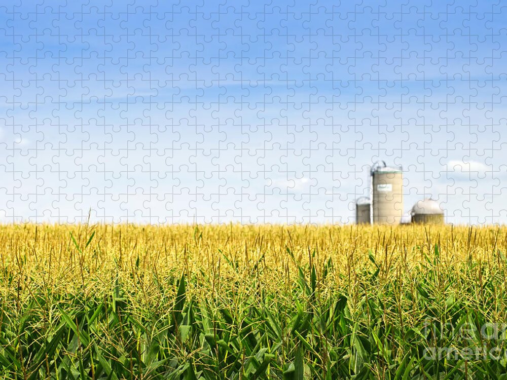 Agriculture Jigsaw Puzzle featuring the photograph Corn field with silos 2 by Elena Elisseeva