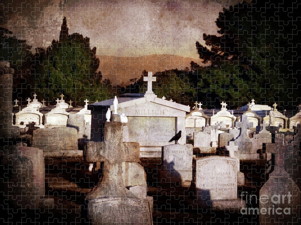 Cemetery Jigsaw Puzzle featuring the photograph Crow Among the Stones by Laura Iverson