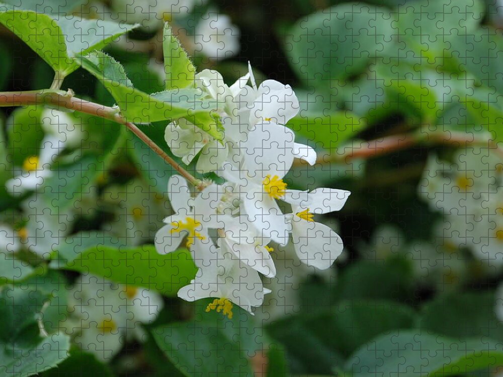 Flower Jigsaw Puzzle featuring the photograph Delicate White Flower by Jennifer Ancker
