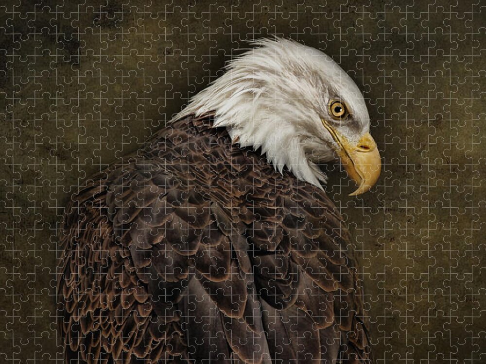 Eagles Jigsaw Puzzle featuring the photograph Eagle Profile by Pat Abbott
