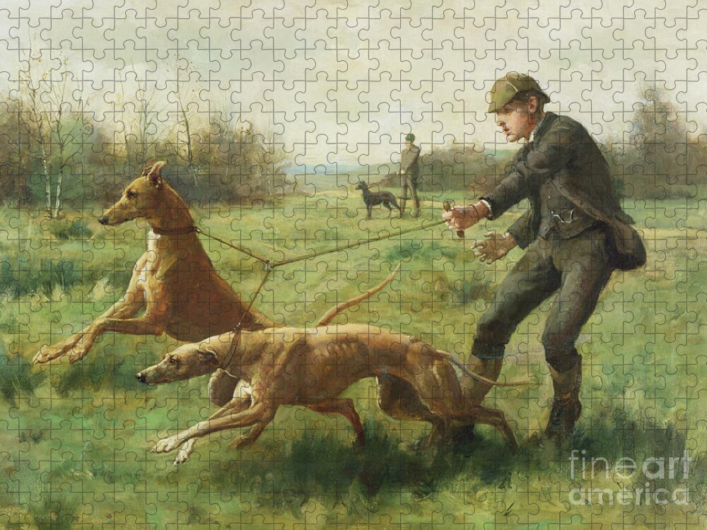 Exercising Greyhounds Jigsaw Puzzle featuring the painting Exercising Greyhounds by George Kilburne