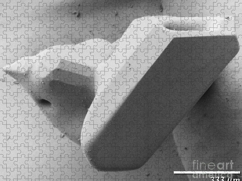 Snow Crystal Jigsaw Puzzle featuring the photograph Faceted Snow Crystal by Electron and Confocal Microscopy Laboratory-Agricultural Research Service-US Dept of Agriculture