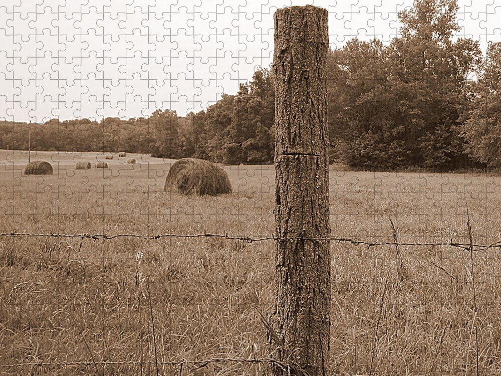 Barbed Wire Jigsaw Puzzle featuring the photograph Fence and Field by Life Makes Art