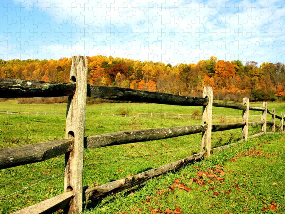 Fence Jigsaw Puzzle featuring the photograph Fenced Pasture in Autumn by Kristin Elmquist