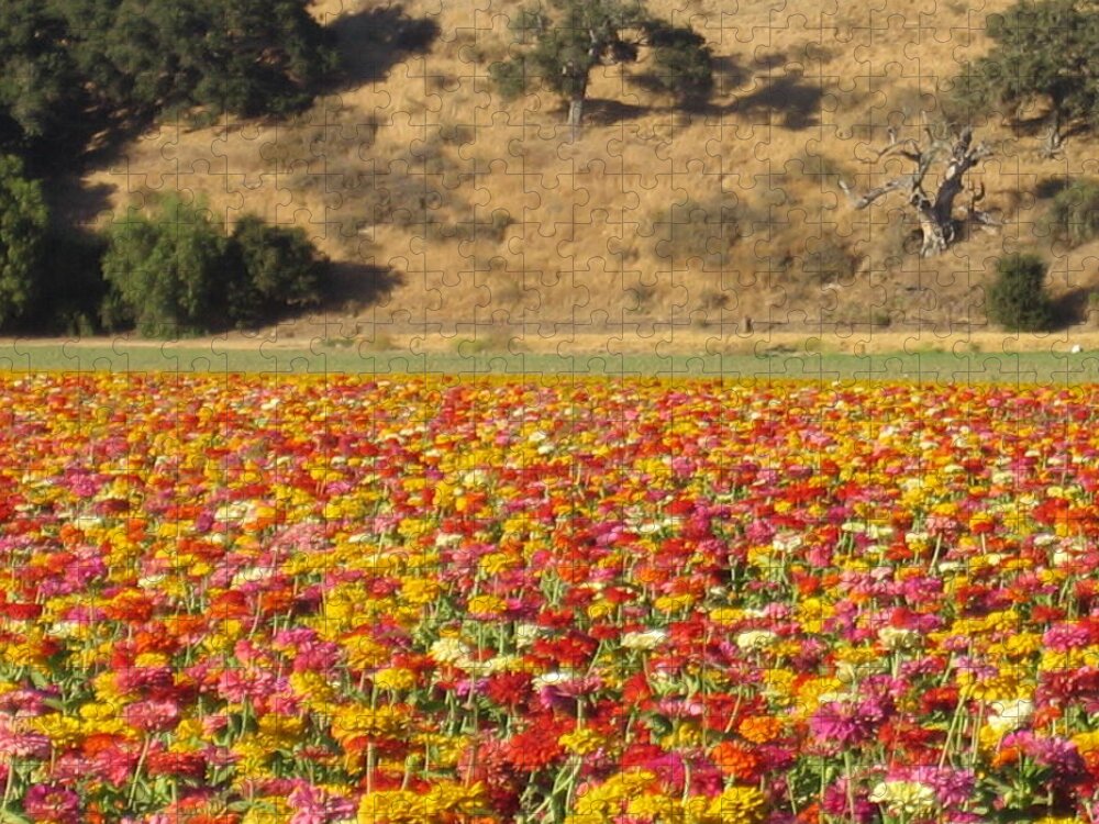Solvang Jigsaw Puzzle featuring the photograph Field of Flowers Solvang California by John Shiron