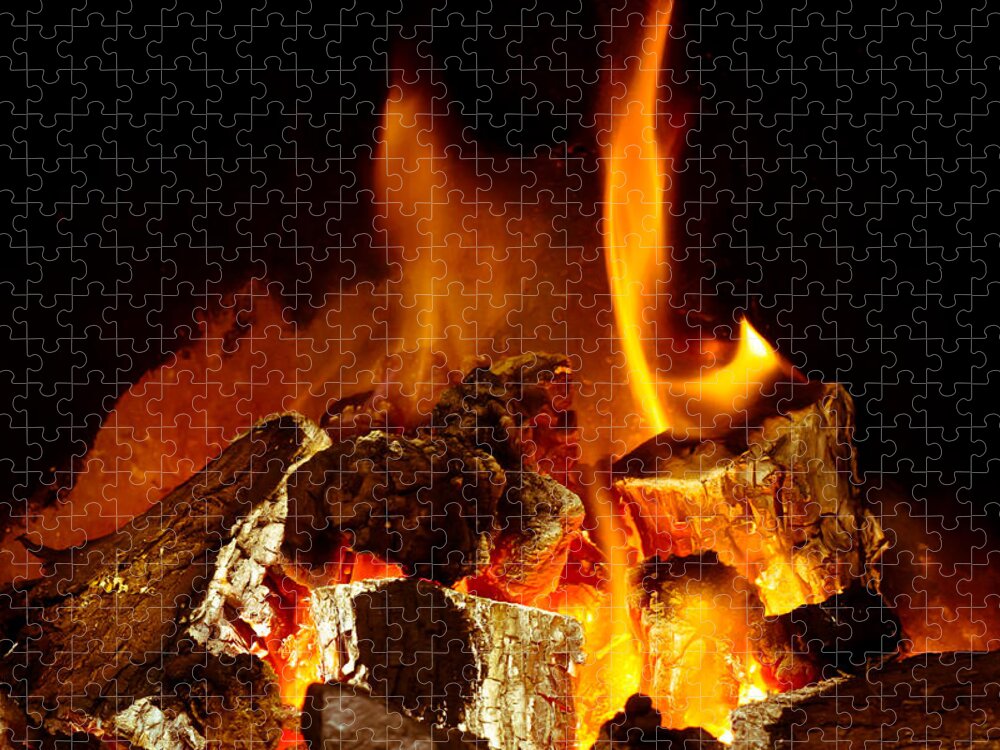 Ash Jigsaw Puzzle featuring the photograph Fire by Tom Gowanlock