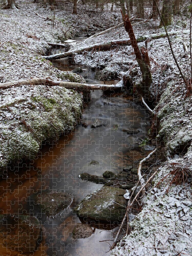 River Jigsaw Puzzle featuring the photograph First snow in the forest by Ulrich Kunst And Bettina Scheidulin