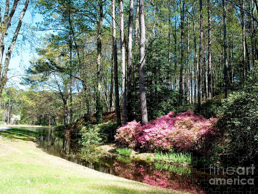 Spring Jigsaw Puzzle featuring the photograph Flower Creek by Shijun Munns
