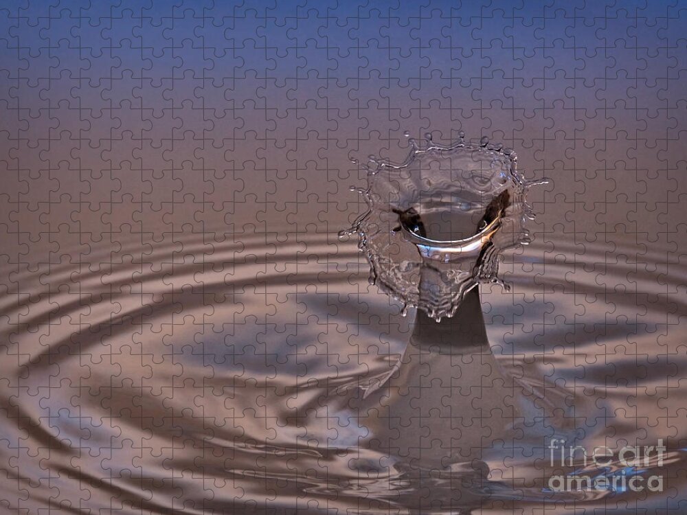 Water Jigsaw Puzzle featuring the photograph Fluid Flower by Susan Candelario