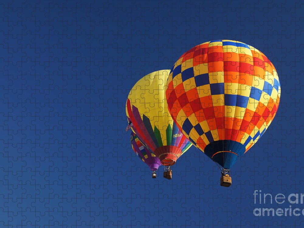 Hot Air Balloon Jigsaw Puzzle featuring the photograph Flying High by Benanne Stiens