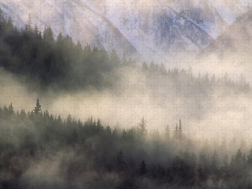 Mp Jigsaw Puzzle featuring the photograph Fog In Old Growth Forest, Chilkat River by Gerry Ellis