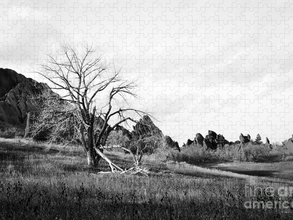 Fountain Valley Jigsaw Puzzle featuring the photograph Fountain Valley in Black and White by Cheryl McClure