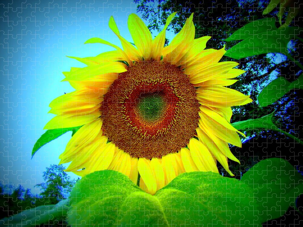 Sunflower Jigsaw Puzzle featuring the photograph Giant kissing Sunflower by Lisa Rose Musselwhite