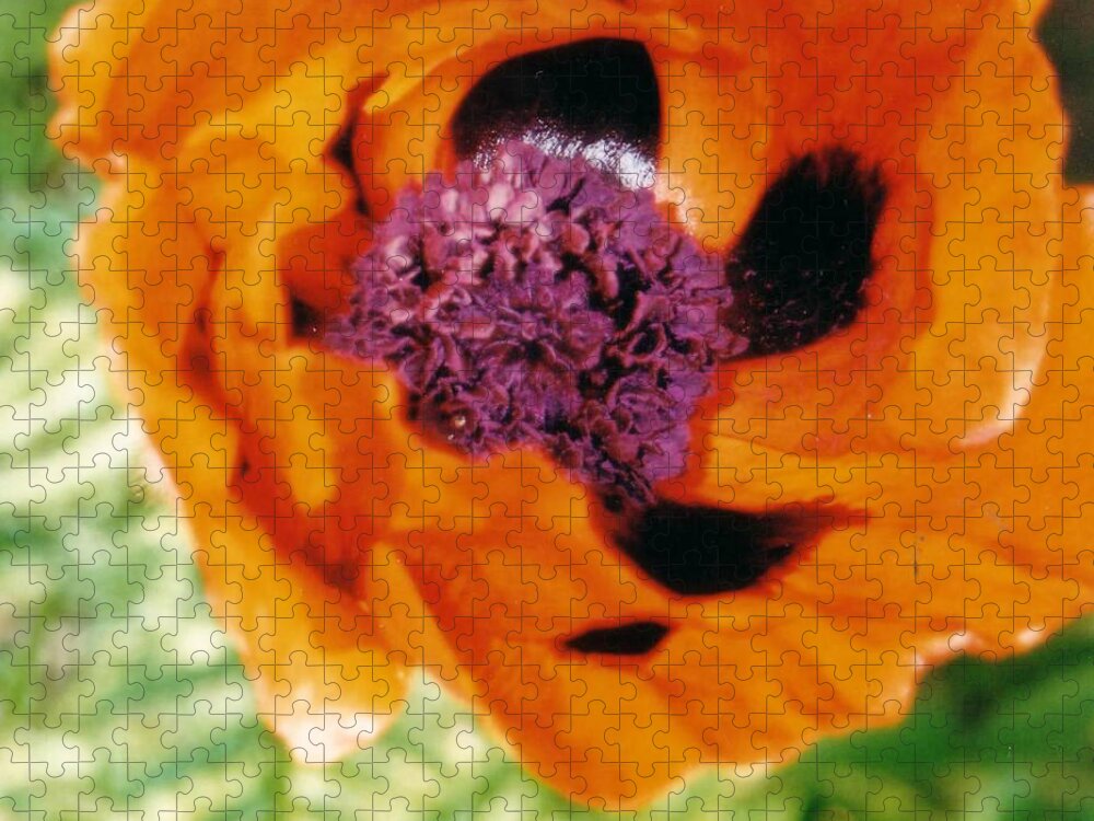 Flower Jigsaw Puzzle featuring the photograph Giant Orange Poppy by Corinne Elizabeth Cowherd