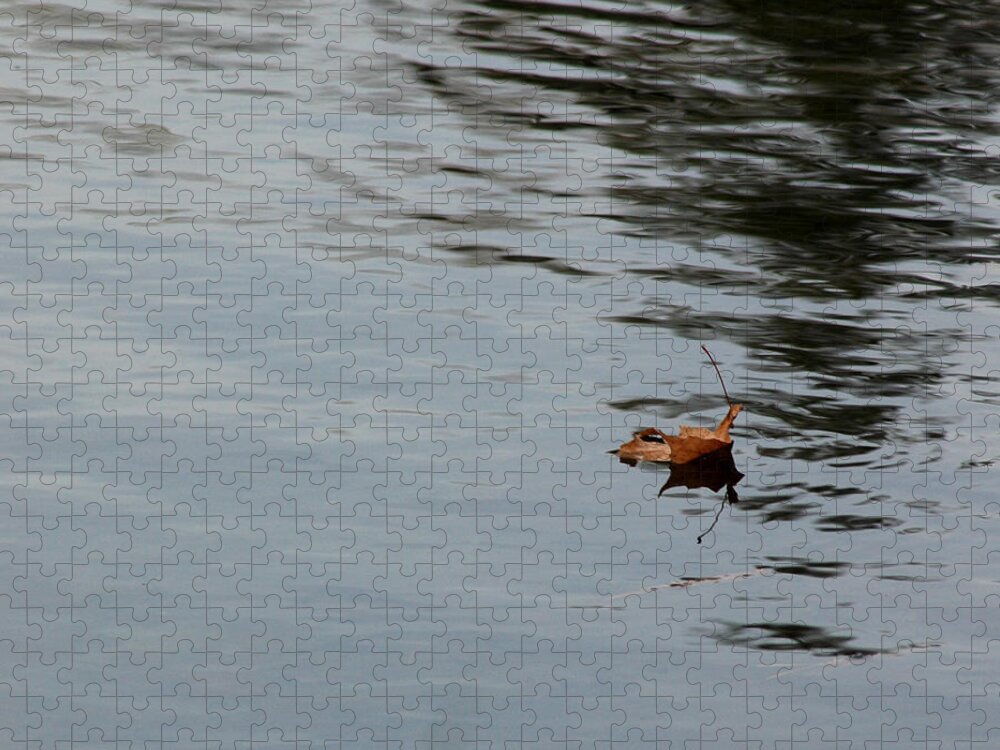 Usa Jigsaw Puzzle featuring the photograph Gliding Across the Pond by LeeAnn McLaneGoetz McLaneGoetzStudioLLCcom