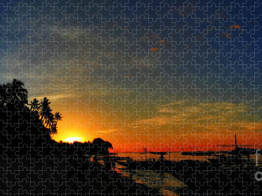 Yhun Suarez Jigsaw Puzzle featuring the photograph Golden Spark by Yhun Suarez