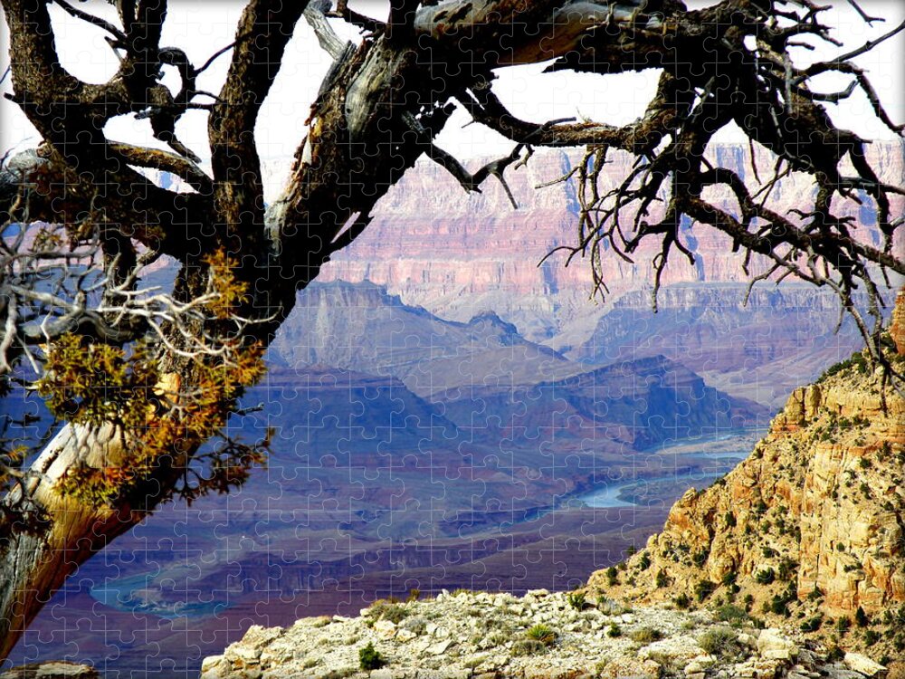 Nature Jigsaw Puzzle featuring the photograph Grand Canyon 8 by Tatyana Searcy
