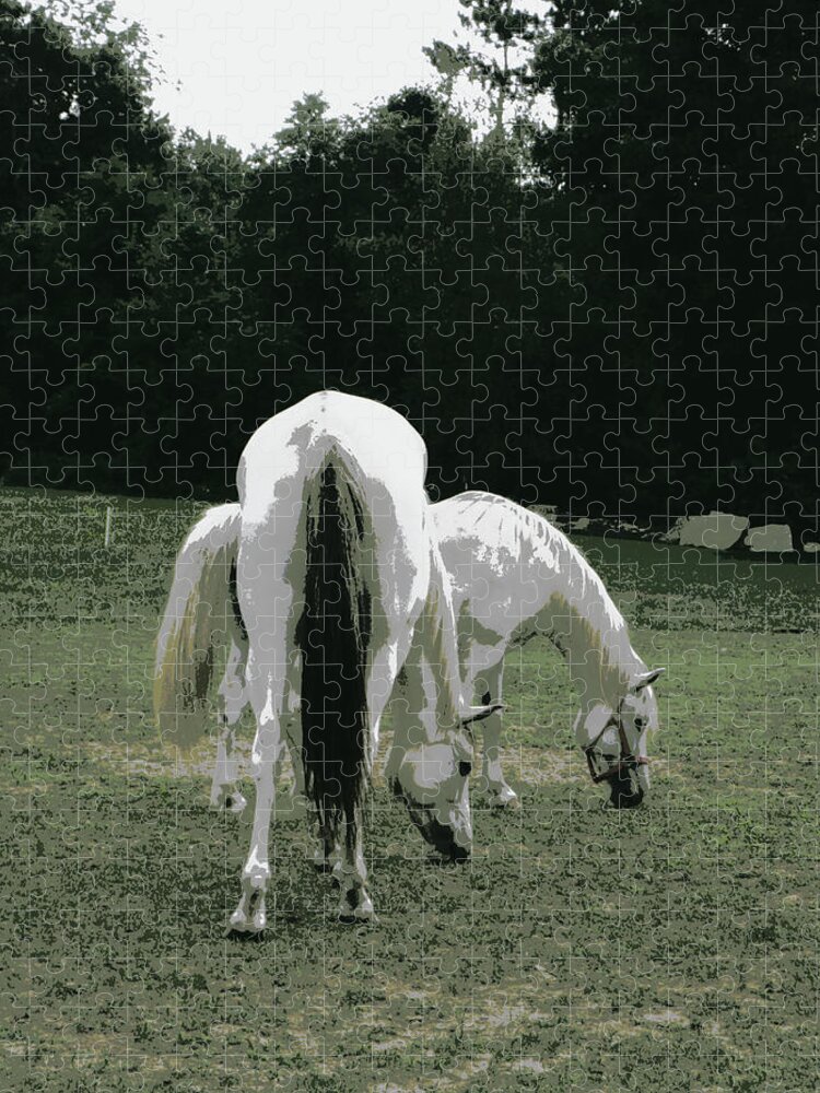 Horses Jigsaw Puzzle featuring the photograph Grazing Friendship by Kim Galluzzo