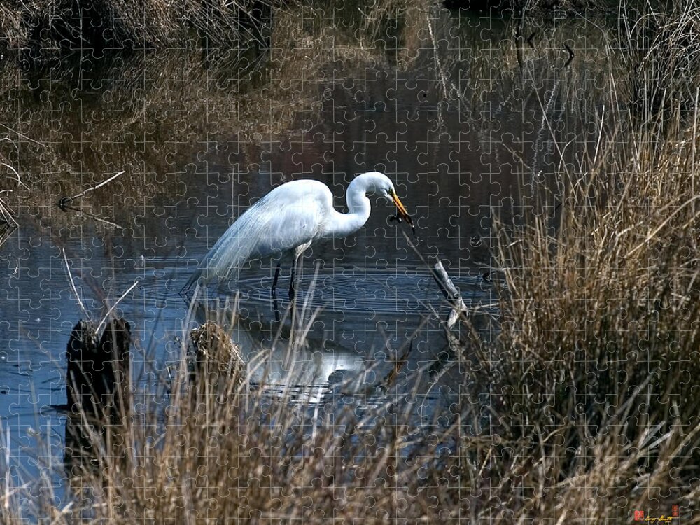 Marsh Jigsaw Puzzle featuring the photograph Great Egret with Fish DMSB0034 by Gerry Gantt